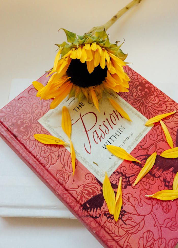 A vibrant sunflower rests on a decorative red hardcover journal with scattered petals.